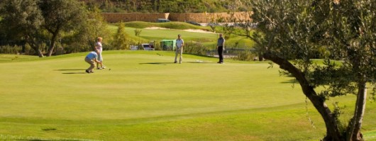 Costa del Sol property market remains robust despite Spains economic-crisis 3