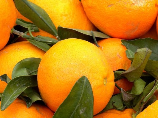 Fiesta of the Orange in Soller Fiesta of the Orange in Soller